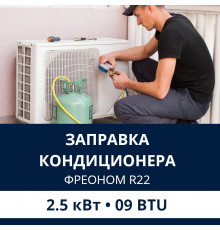 Заправка кондиционера Electrolux фреоном R22 до 2.5 кВт (09 BTU)